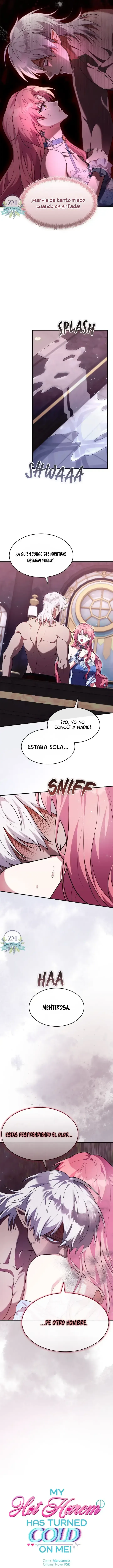 5 ¡Mi ardiente harén!