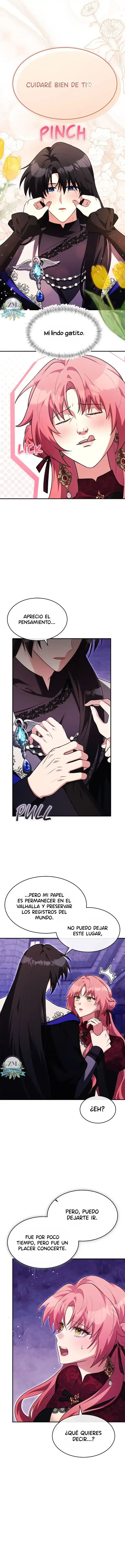 14 ¡Mi ardiente harén!