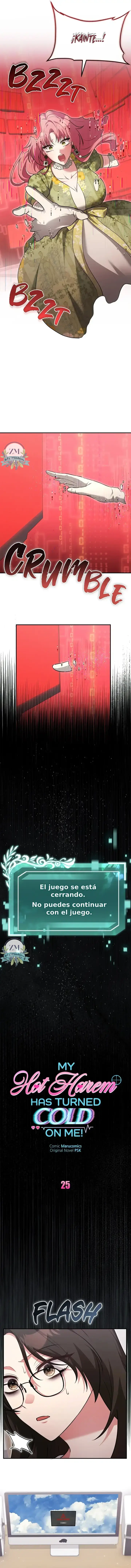 5 ¡Mi ardiente harén!