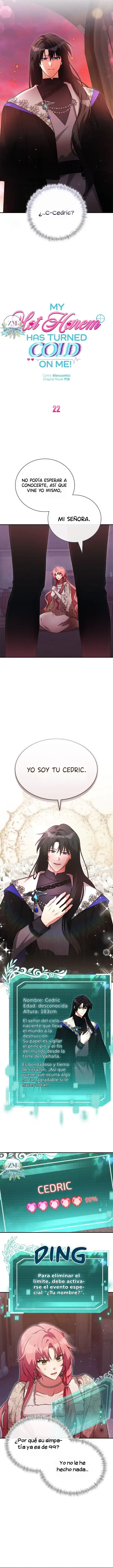 3 ¡Mi ardiente harén!