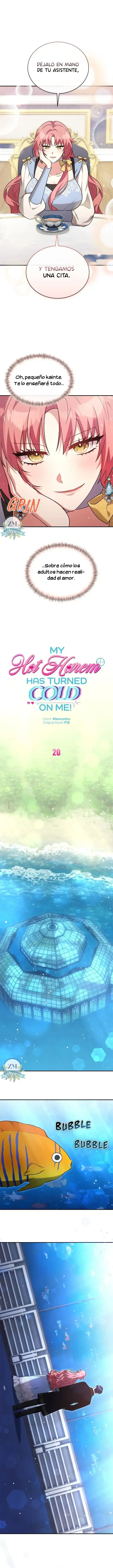 0 ¡Mi ardiente harén!