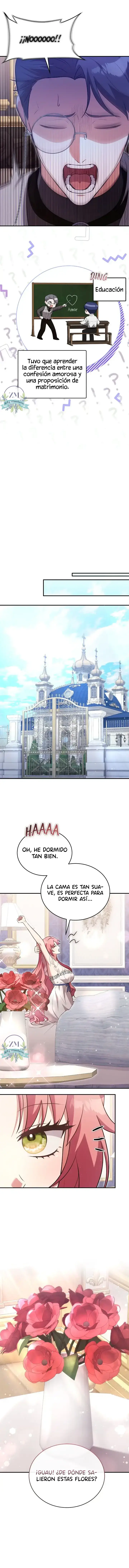 8 ¡Mi ardiente harén!