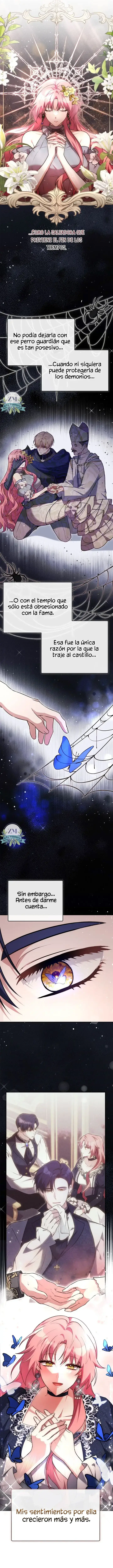 5 ¡Mi ardiente harén!