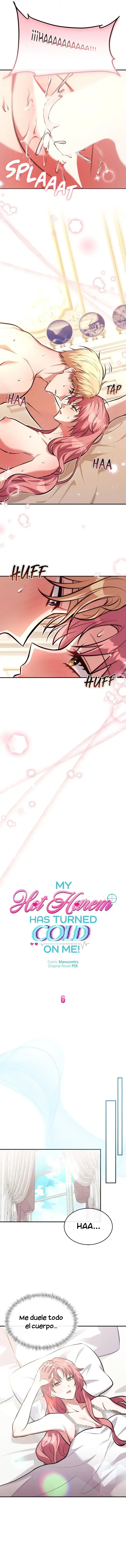 5 ¡Mi ardiente harén!