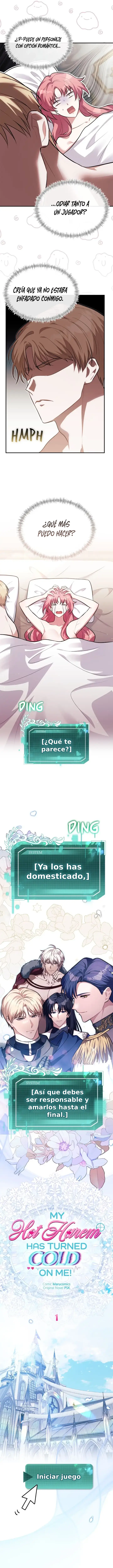 13 ¡Mi ardiente harén!