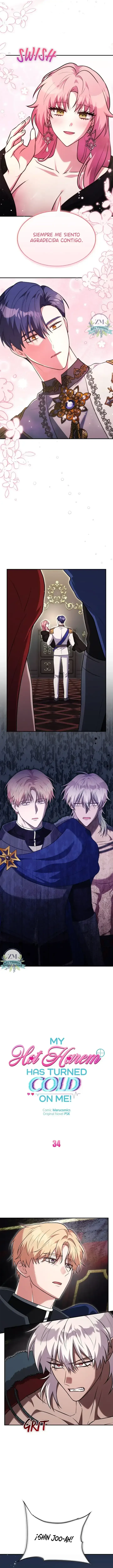 7 ¡Mi ardiente harén!