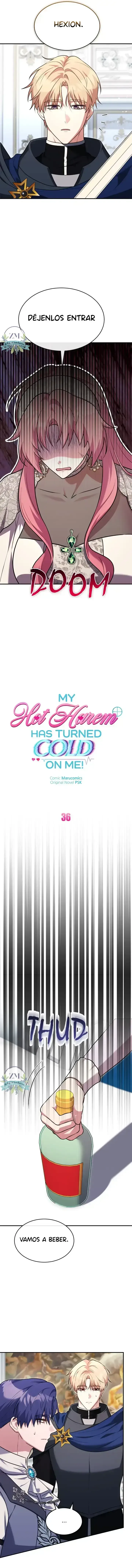 6 ¡Mi ardiente harén!