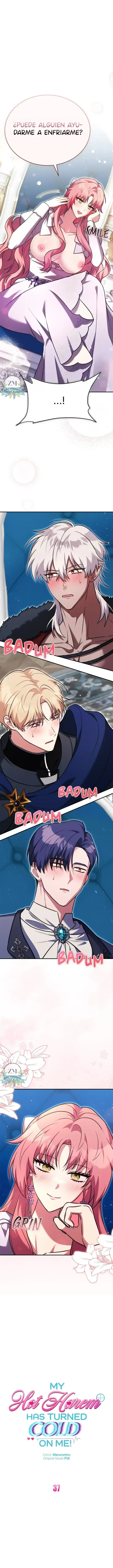 4 ¡Mi ardiente harén!