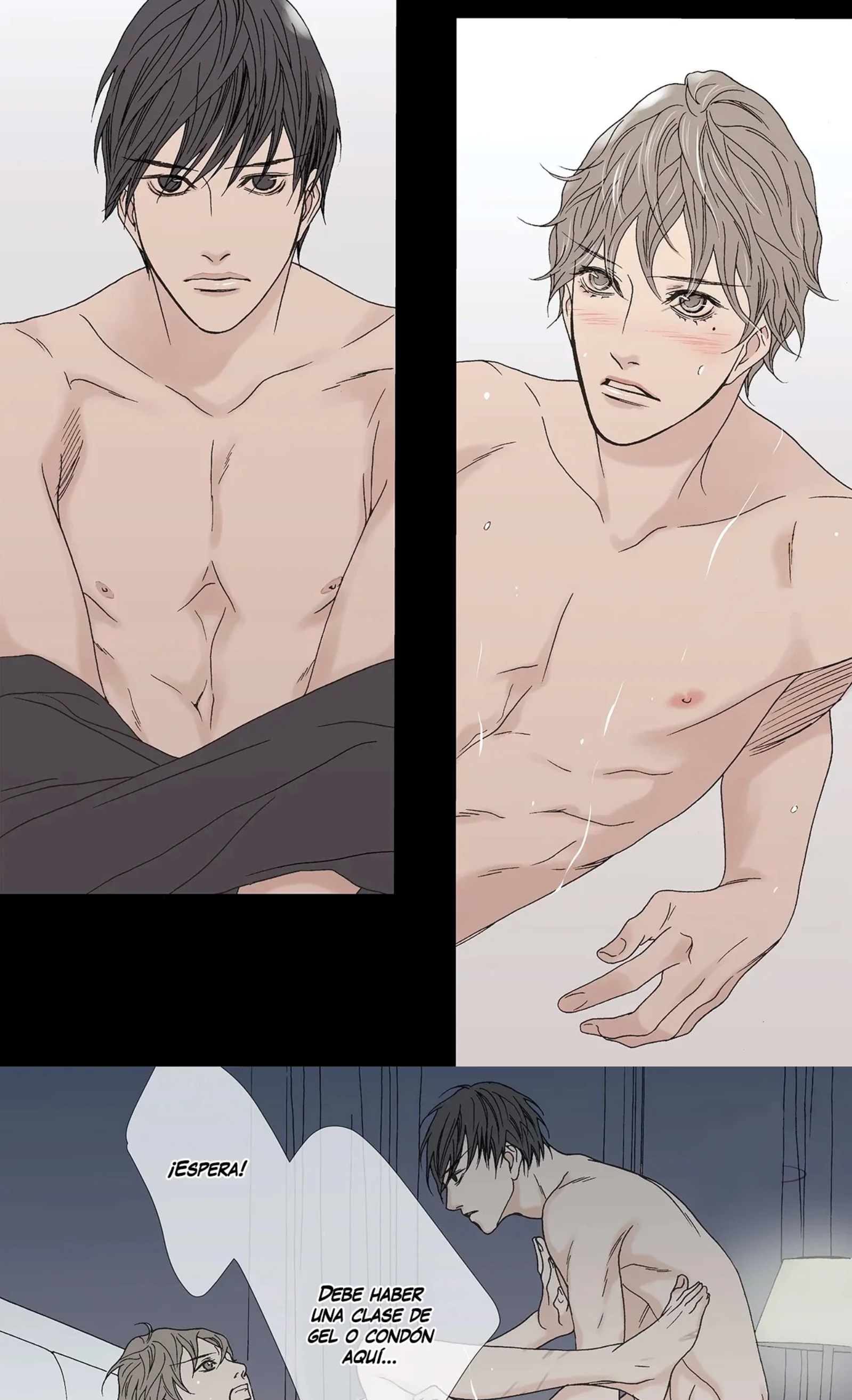 17 La bestia debe morir