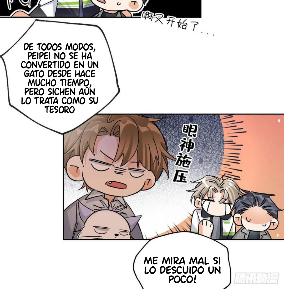 6 Tengo que trabajar duro para ser un gato hoy!