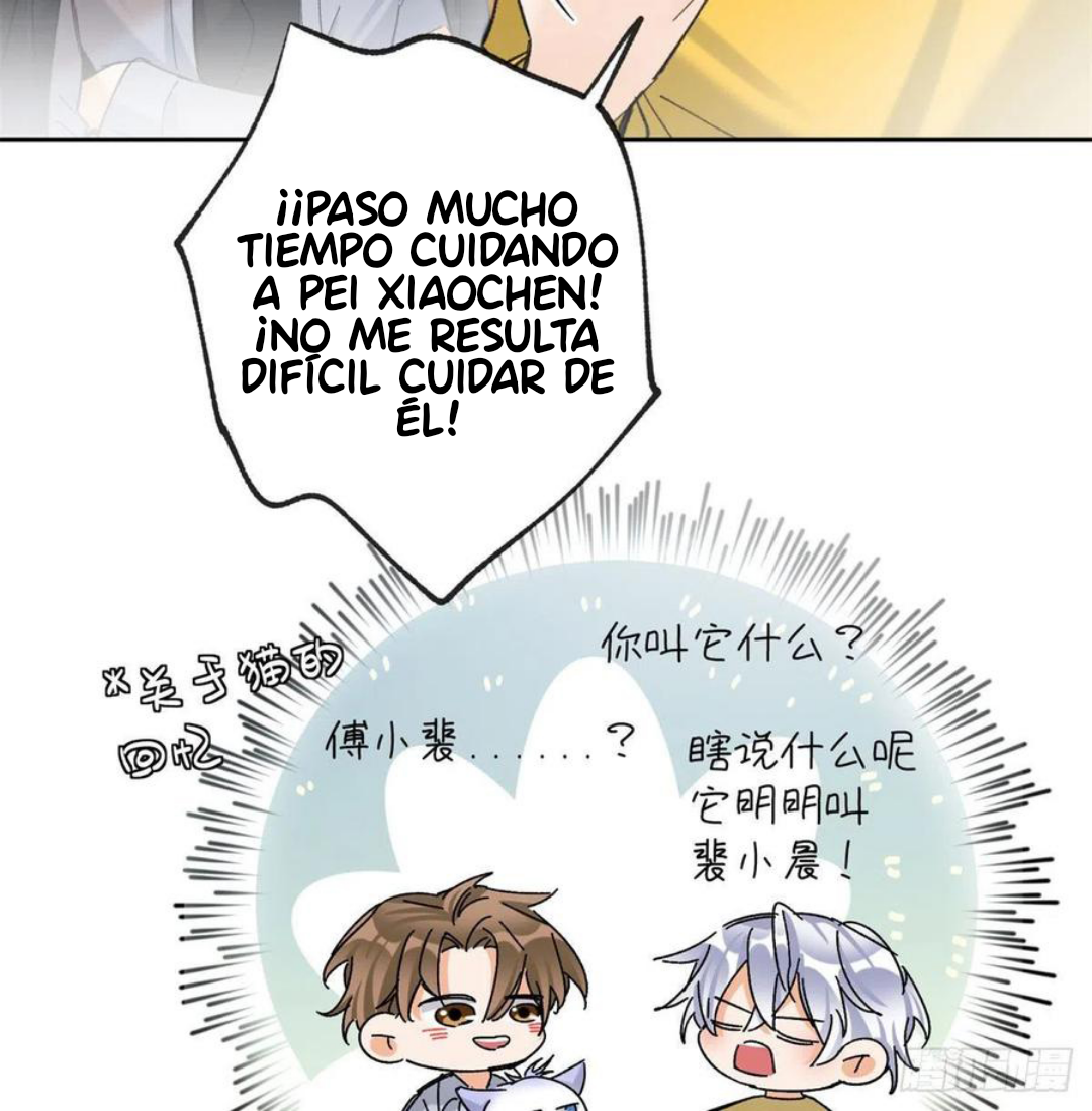 11 Tengo que trabajar duro para ser un gato hoy!