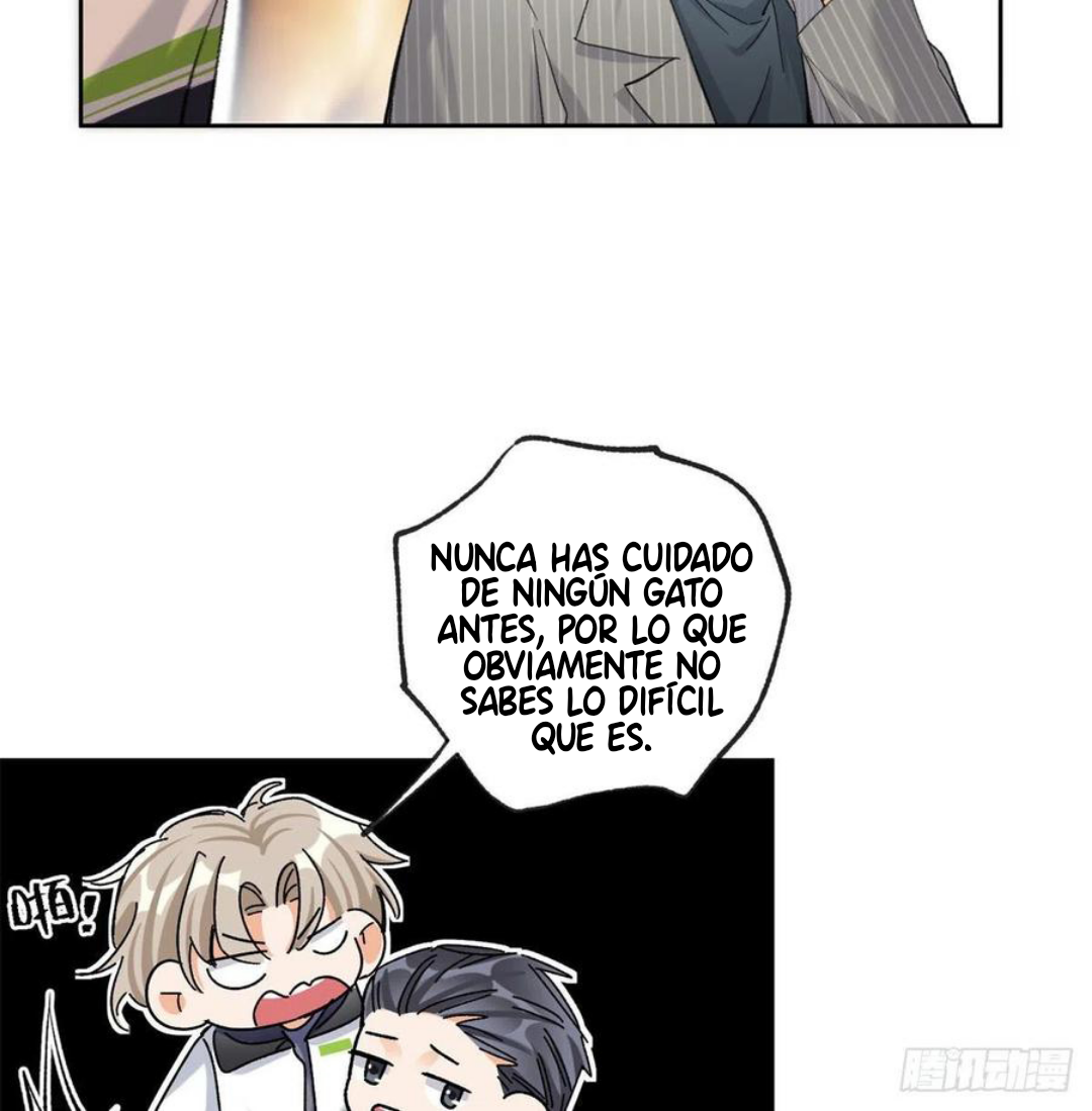 5 Tengo que trabajar duro para ser un gato hoy!