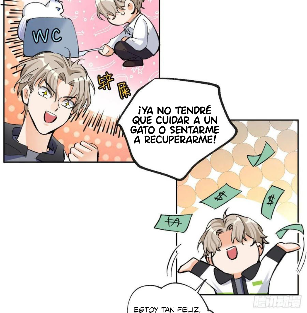 3 Tengo que trabajar duro para ser un gato hoy!