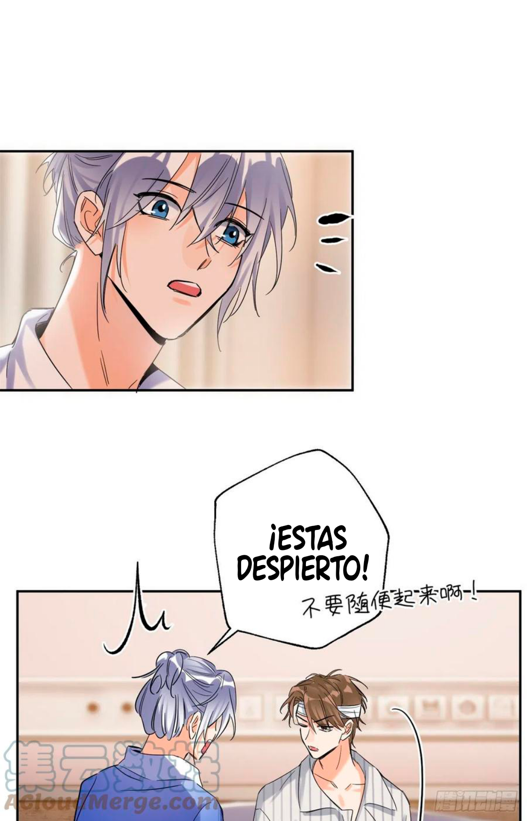 8 Tengo que trabajar duro para ser un gato hoy!