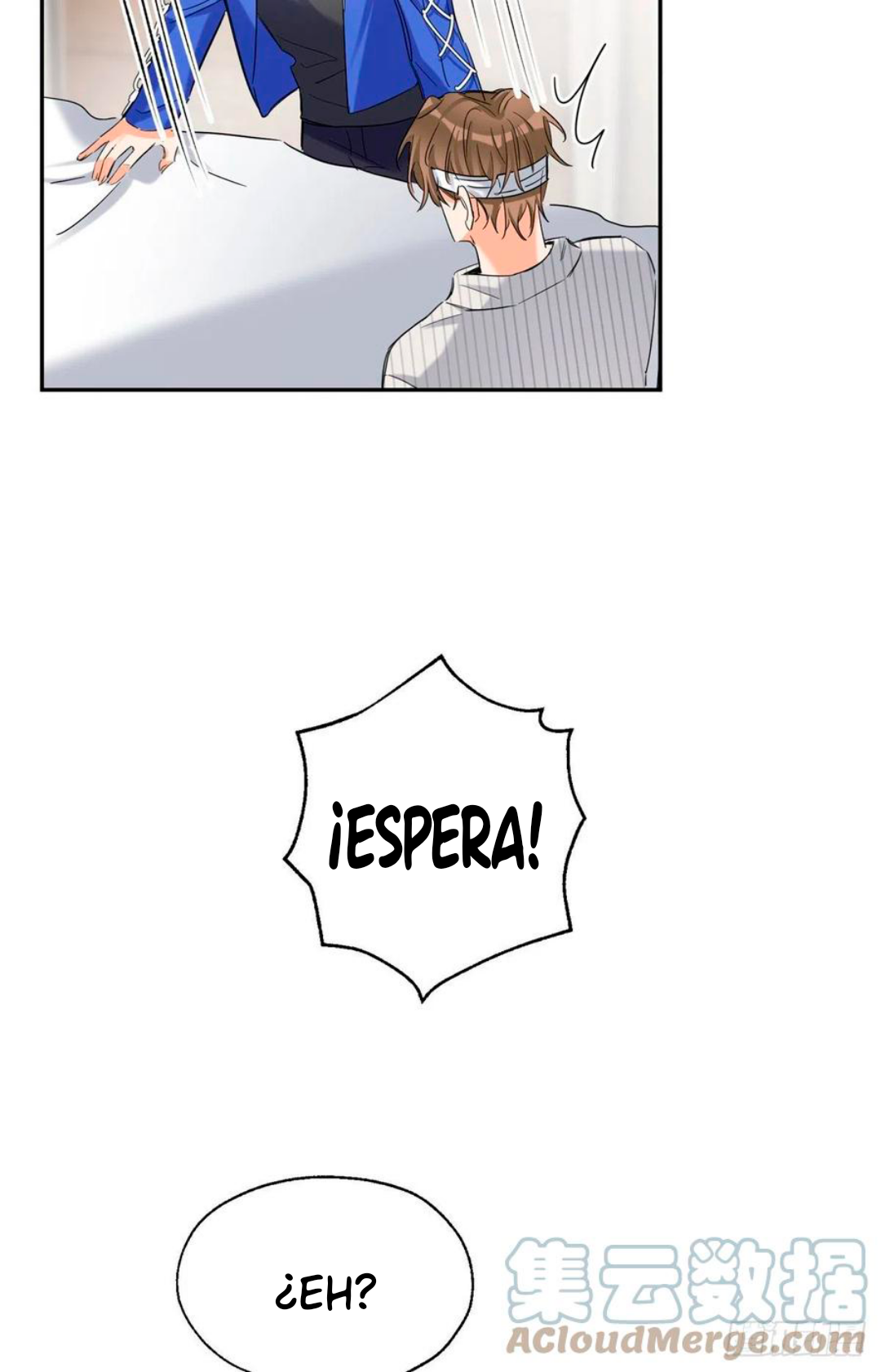 11 Tengo que trabajar duro para ser un gato hoy!