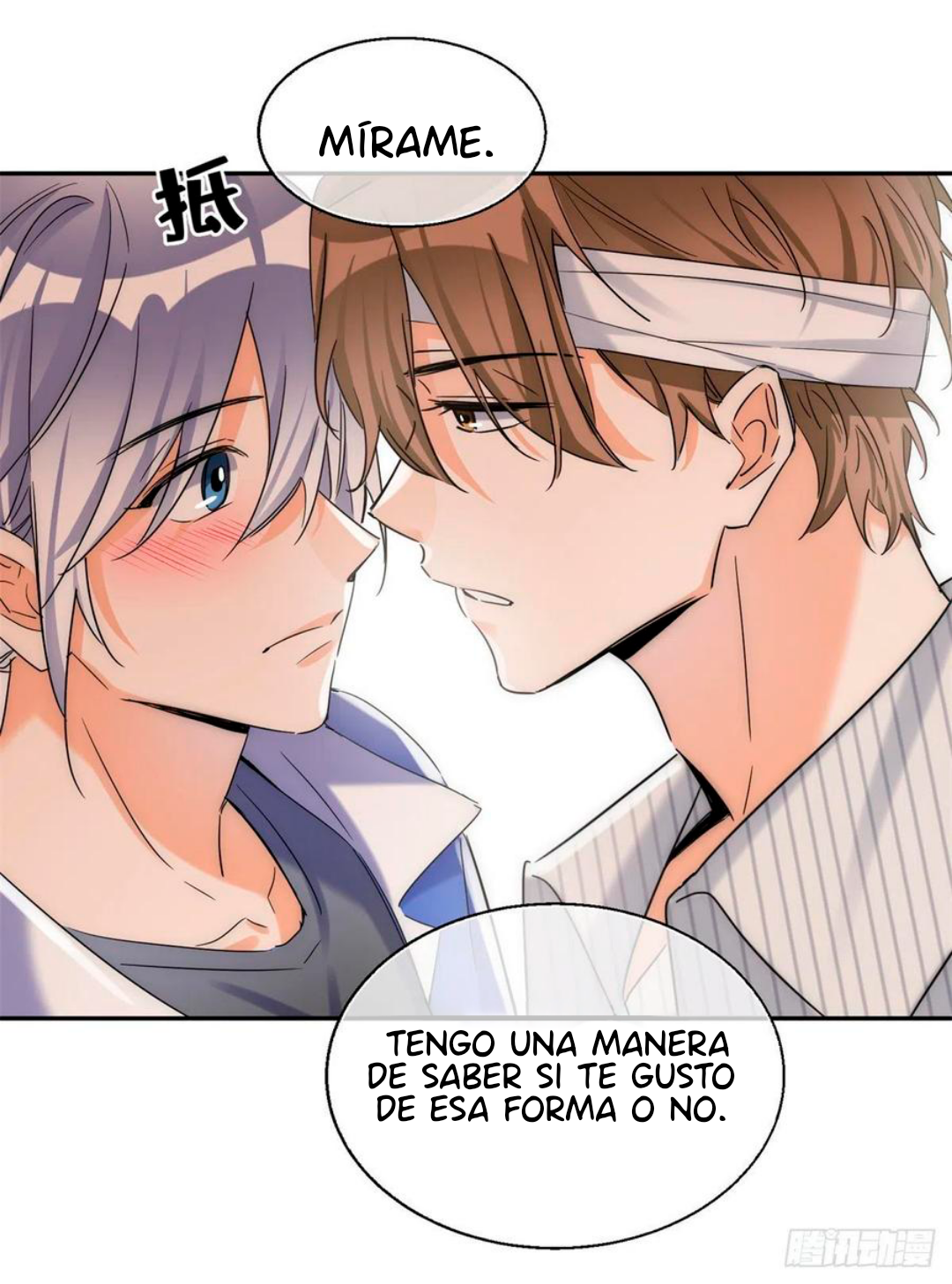 25 Tengo que trabajar duro para ser un gato hoy!