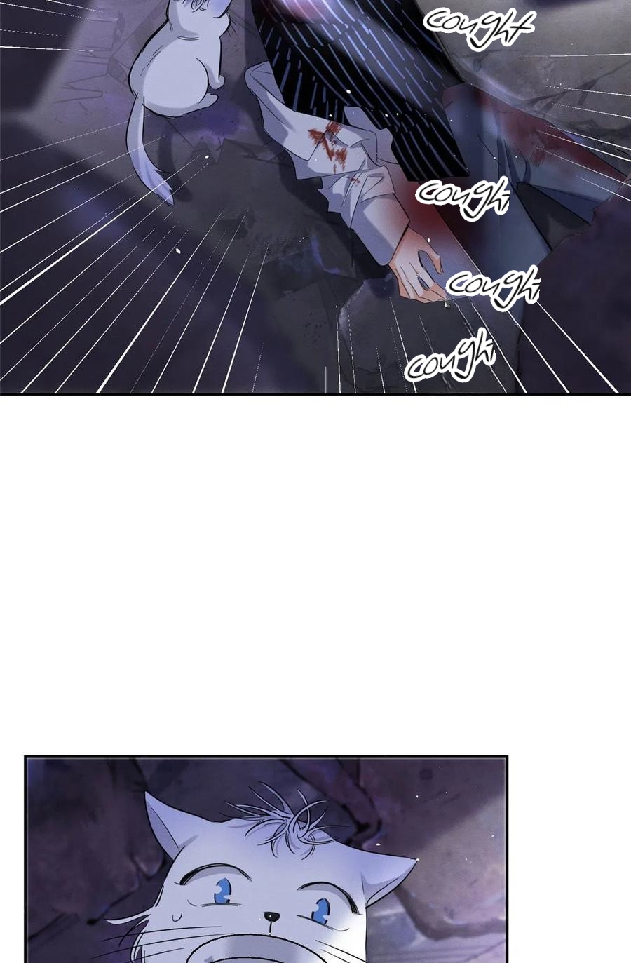 5 Tengo que trabajar duro para ser un gato hoy!