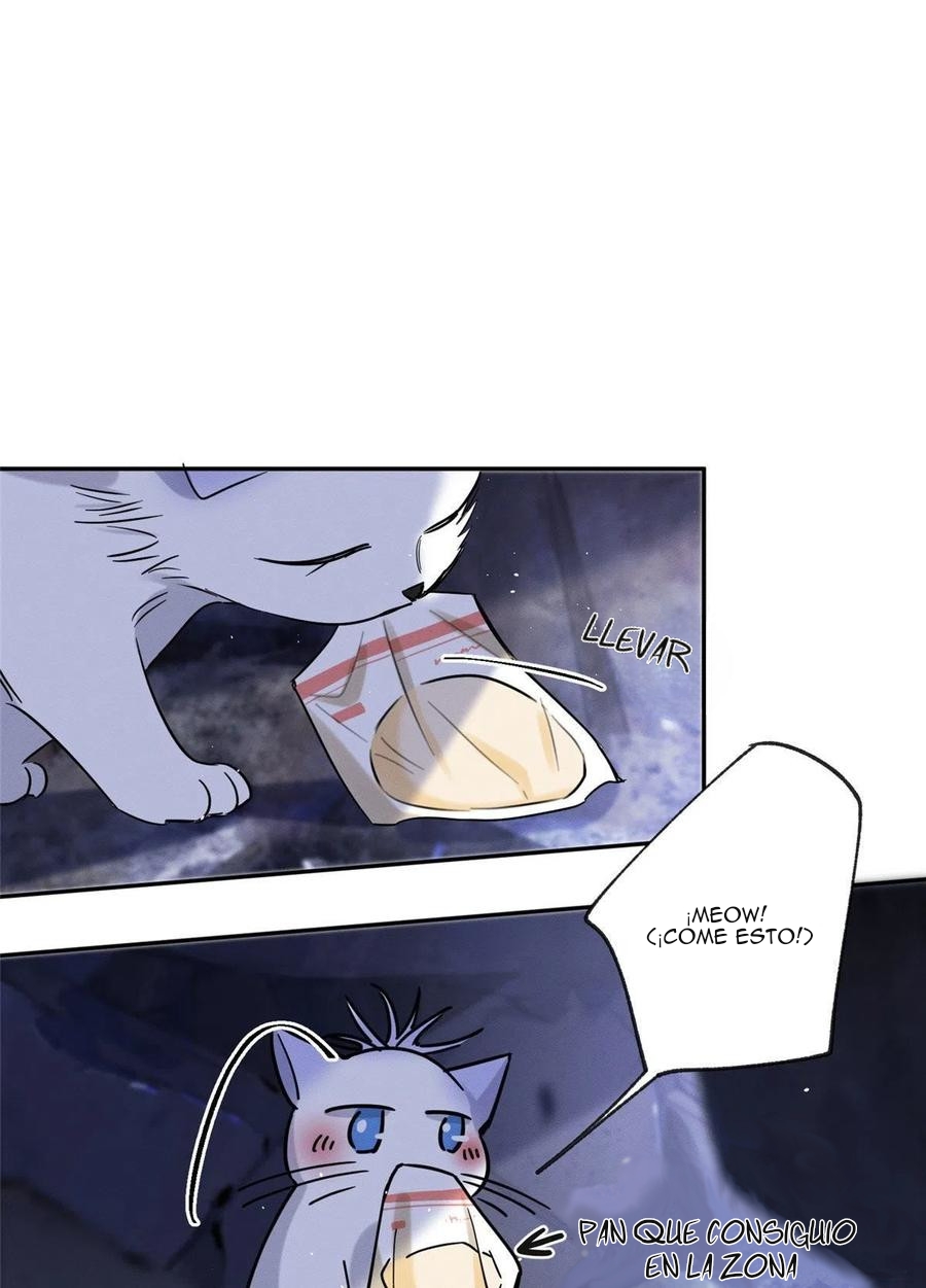 12 Tengo que trabajar duro para ser un gato hoy!