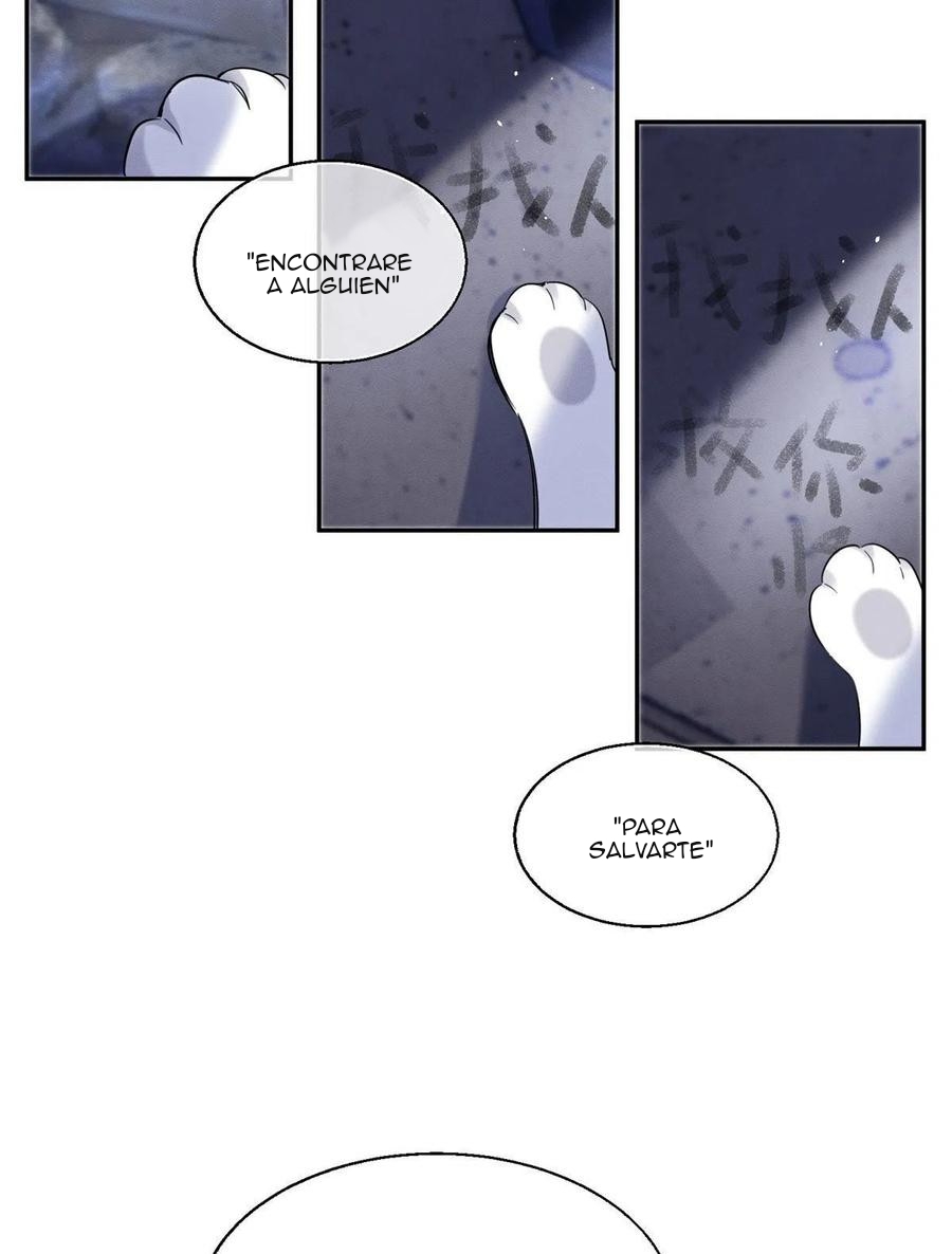 16 Tengo que trabajar duro para ser un gato hoy!