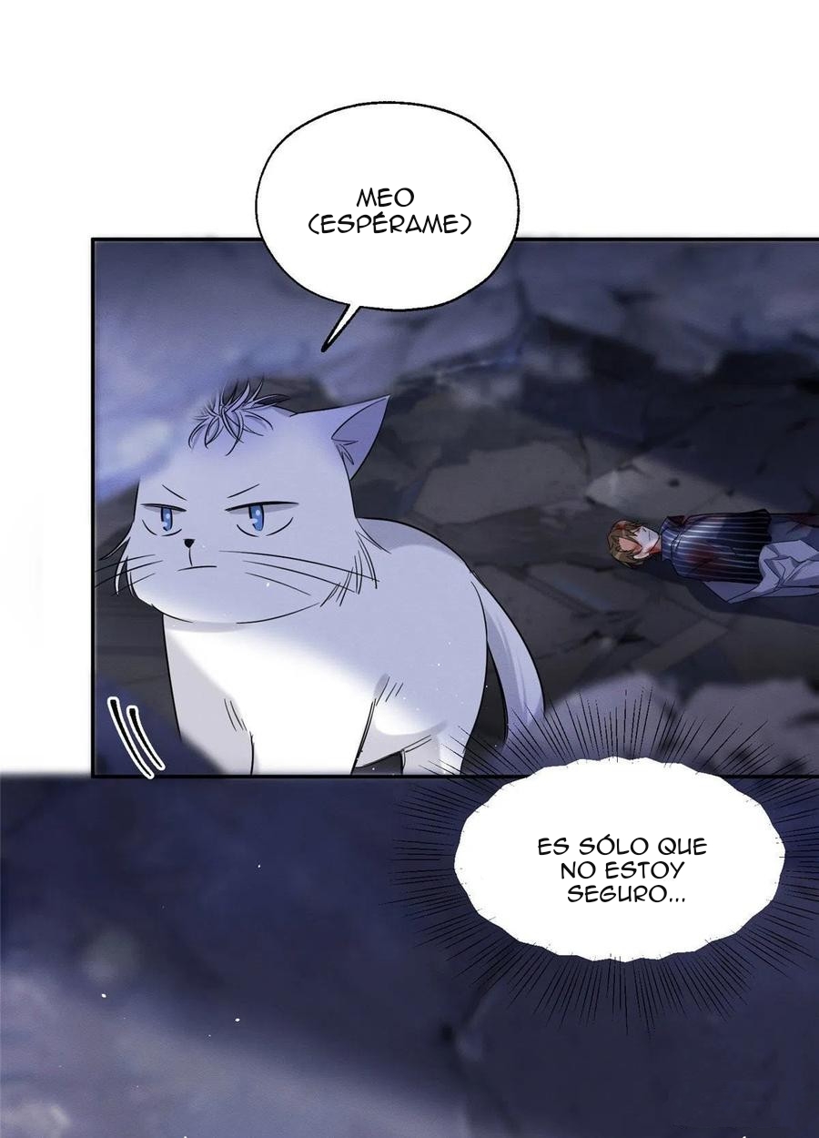 19 Tengo que trabajar duro para ser un gato hoy!