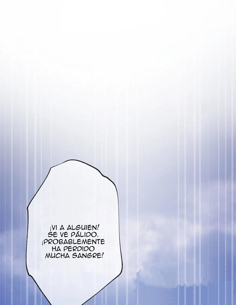 41 Tengo que trabajar duro para ser un gato hoy!