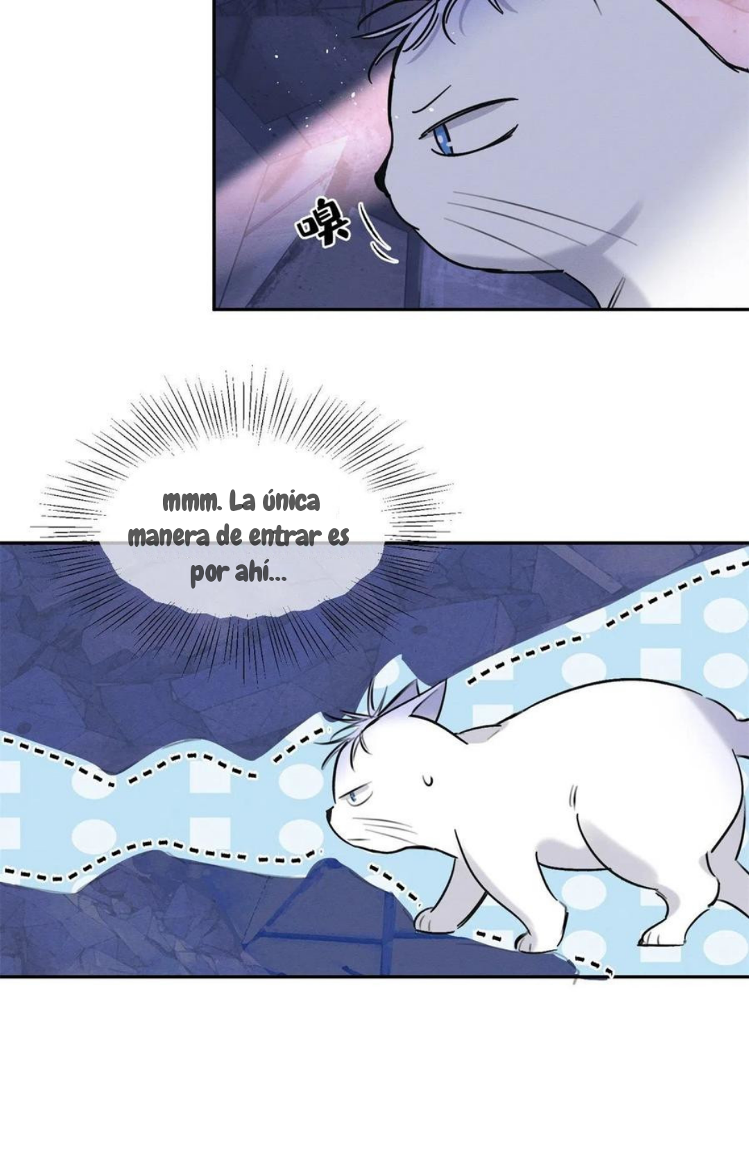 34 Tengo que trabajar duro para ser un gato hoy!