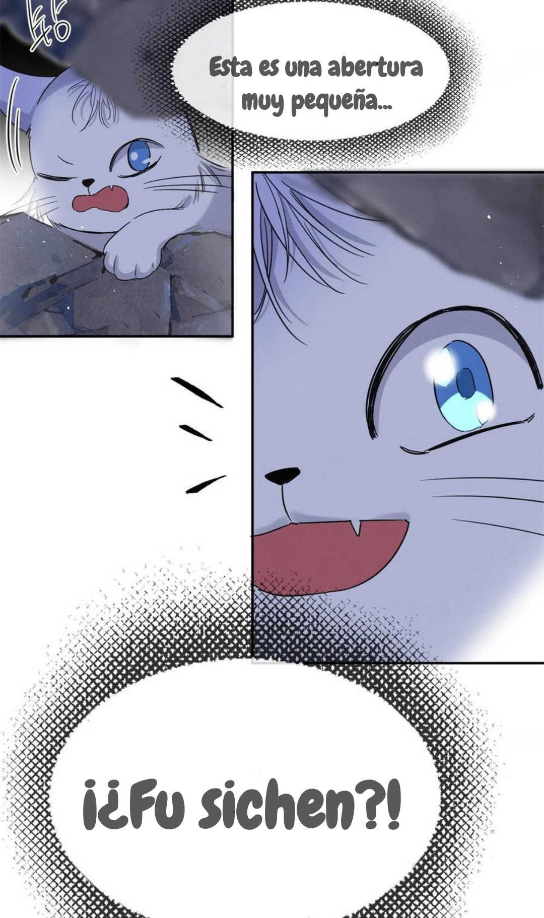 51 Tengo que trabajar duro para ser un gato hoy!