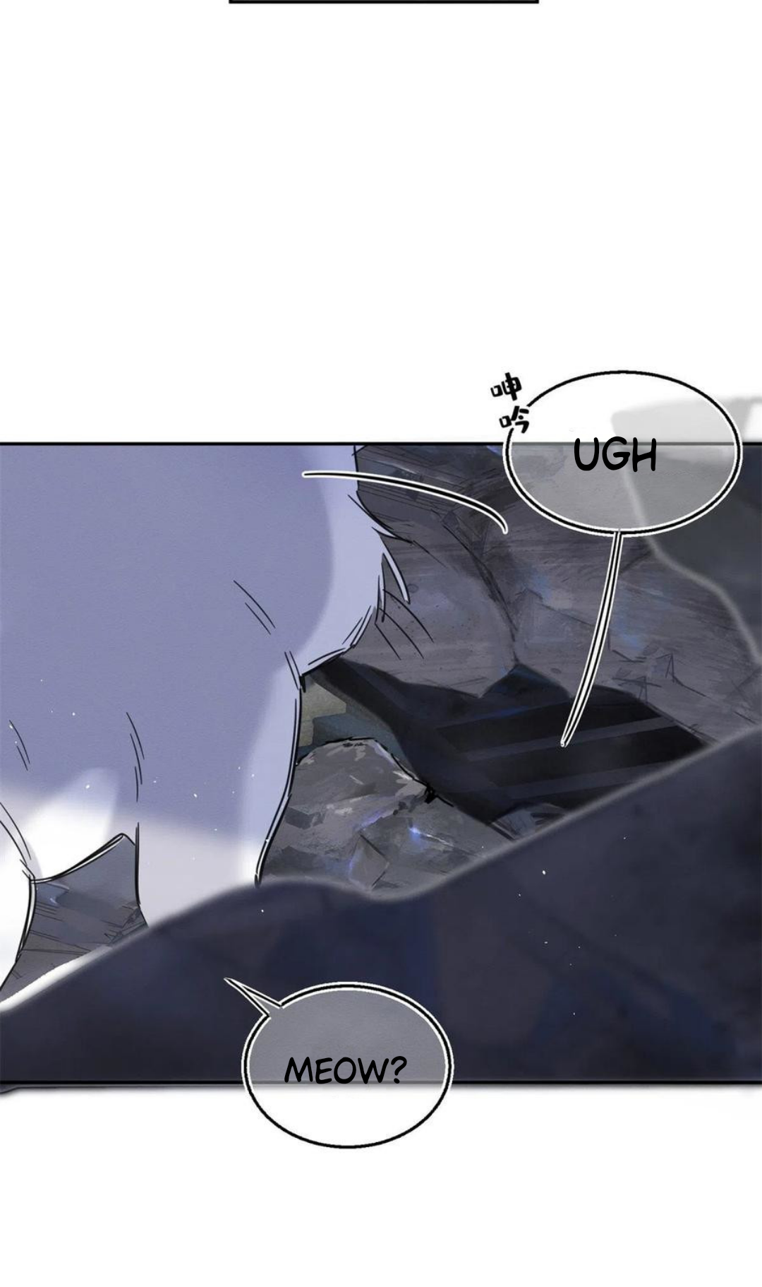 48 Tengo que trabajar duro para ser un gato hoy!