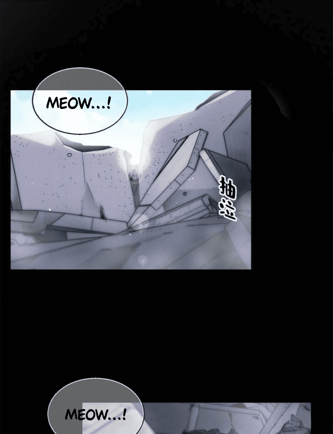 10 Tengo que trabajar duro para ser un gato hoy!