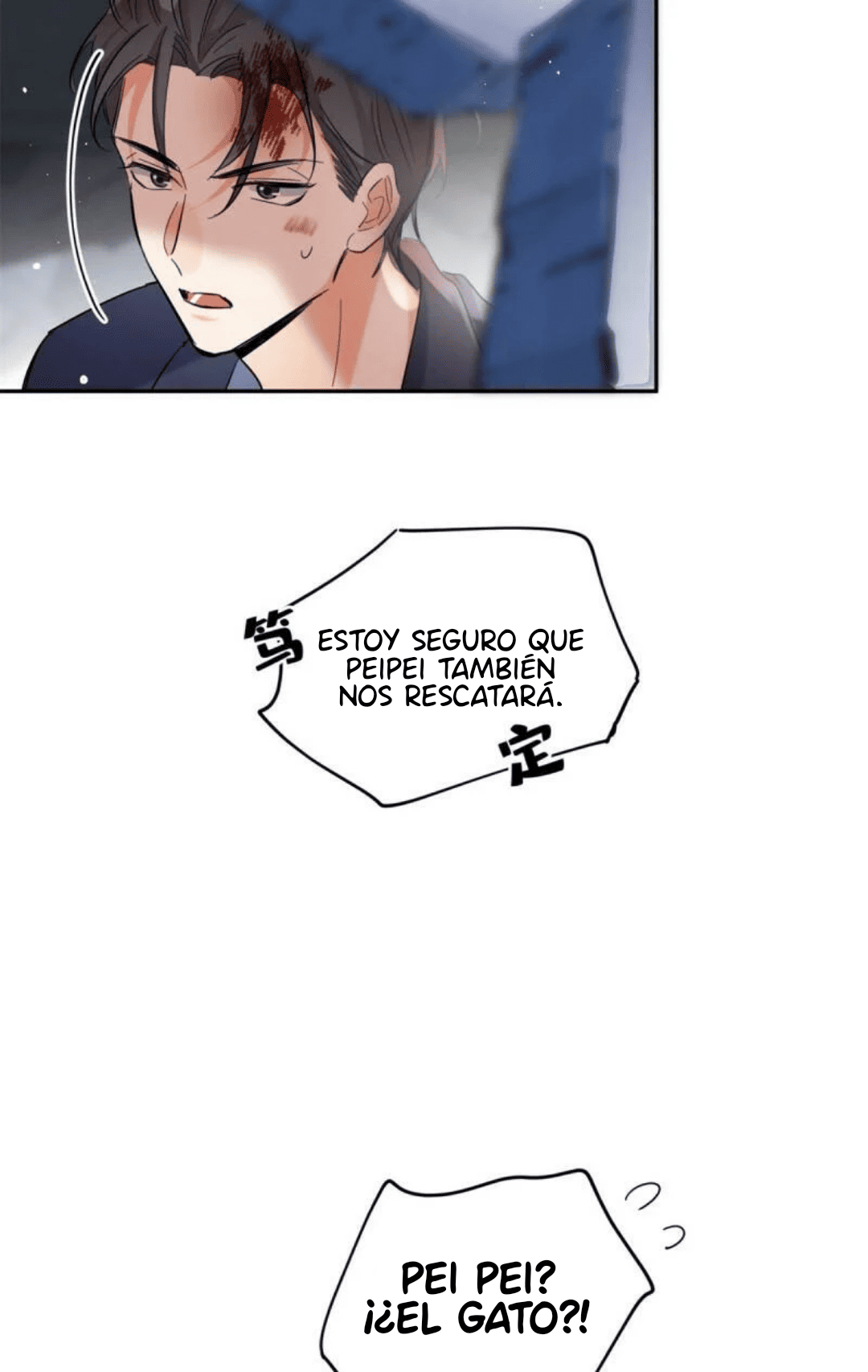 29 Tengo que trabajar duro para ser un gato hoy!