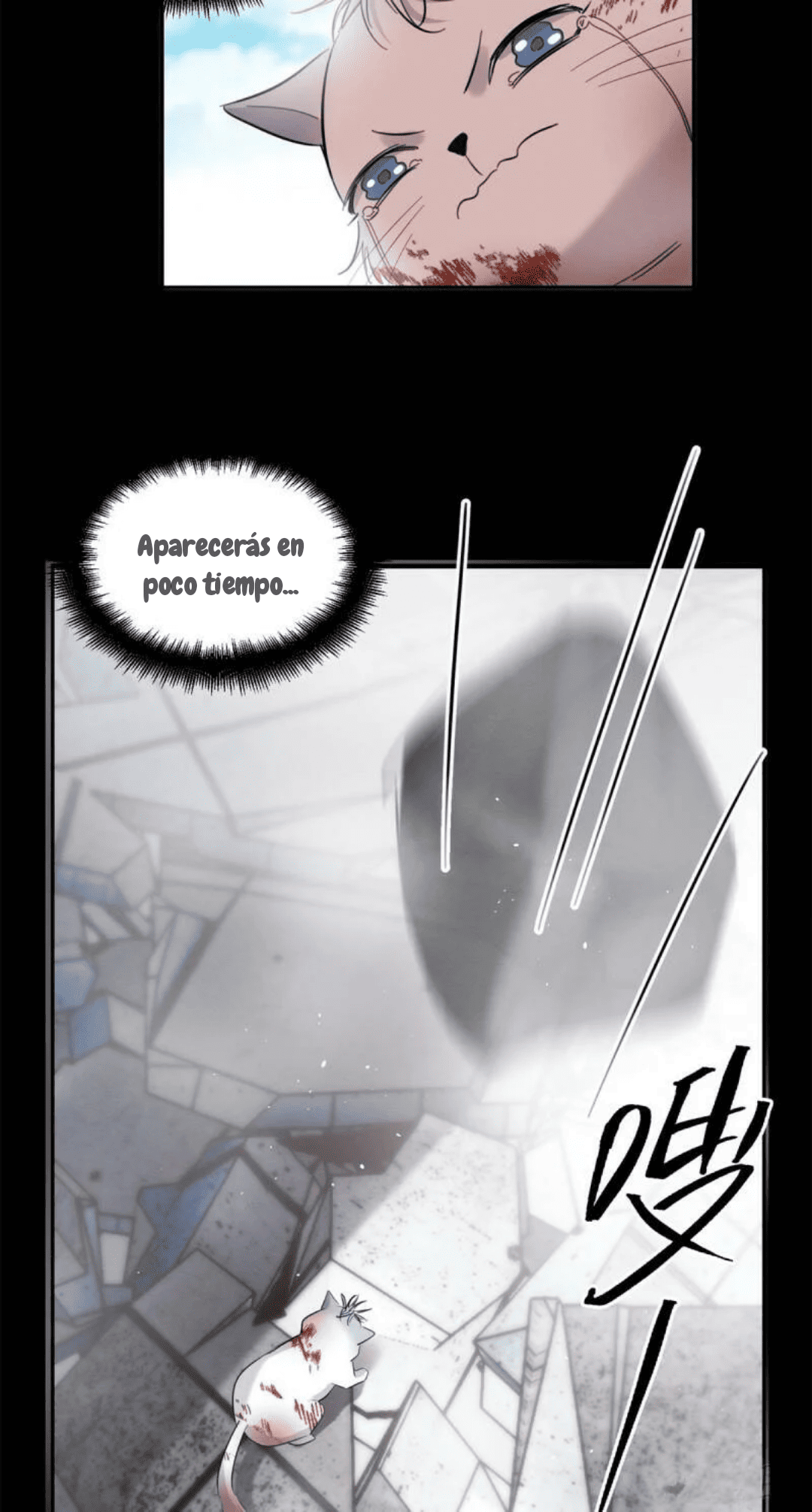 15 Tengo que trabajar duro para ser un gato hoy!