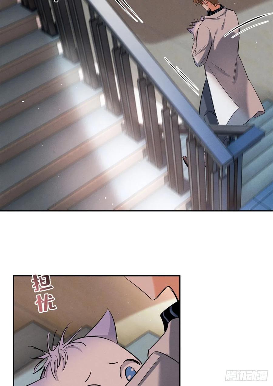 27 Tengo que trabajar duro para ser un gato hoy!