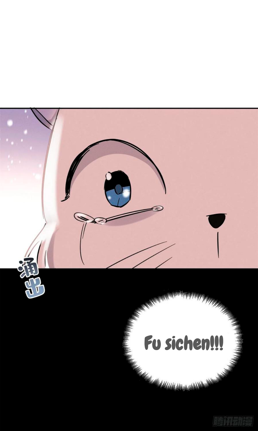 39 Tengo que trabajar duro para ser un gato hoy!