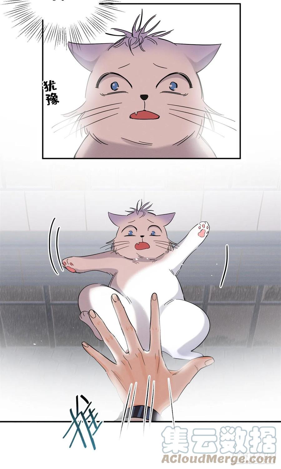 38 Tengo que trabajar duro para ser un gato hoy!