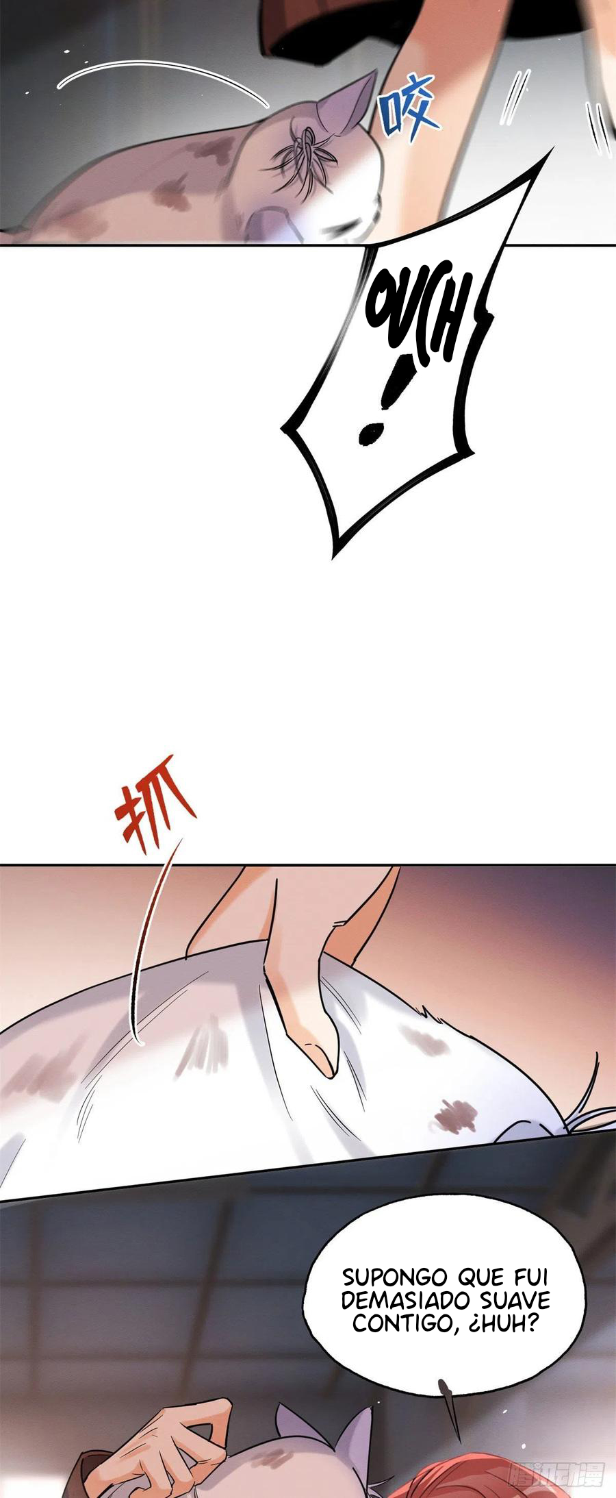 3 Tengo que trabajar duro para ser un gato hoy!