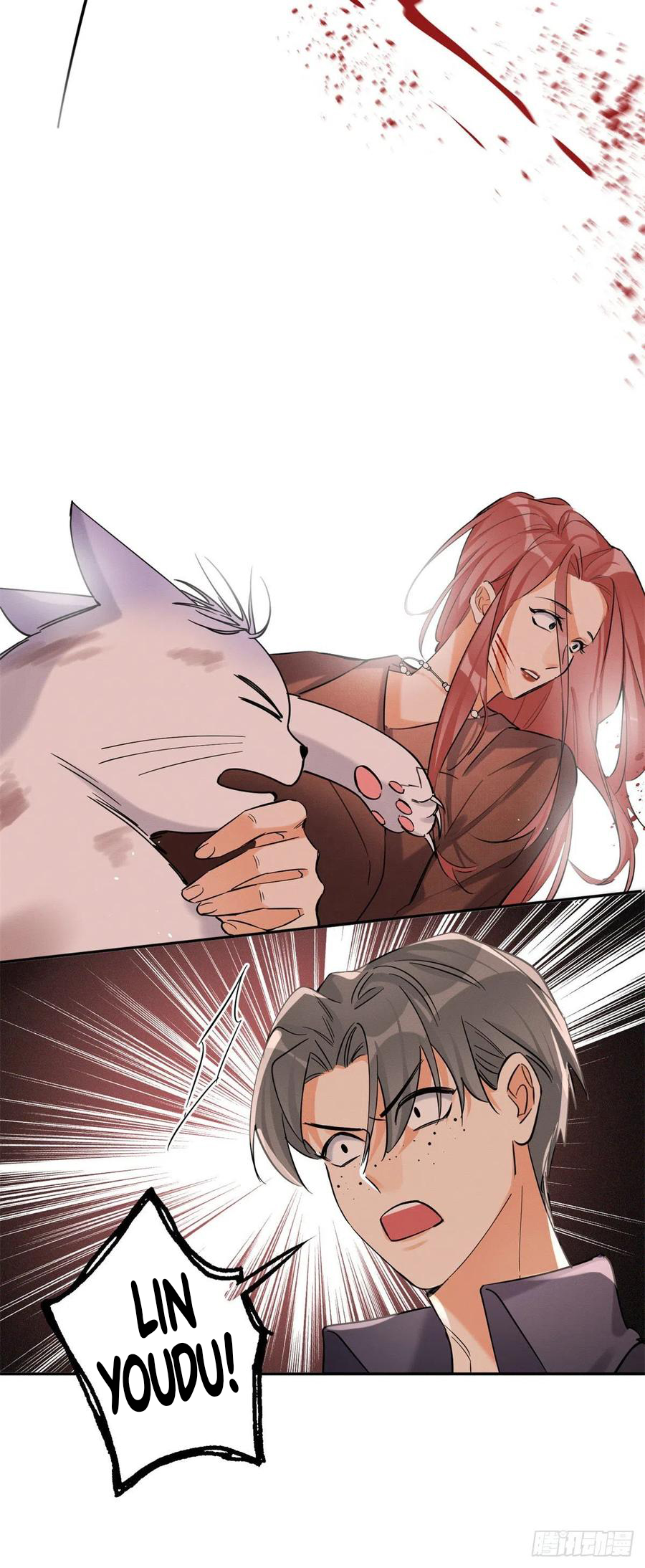 5 Tengo que trabajar duro para ser un gato hoy!