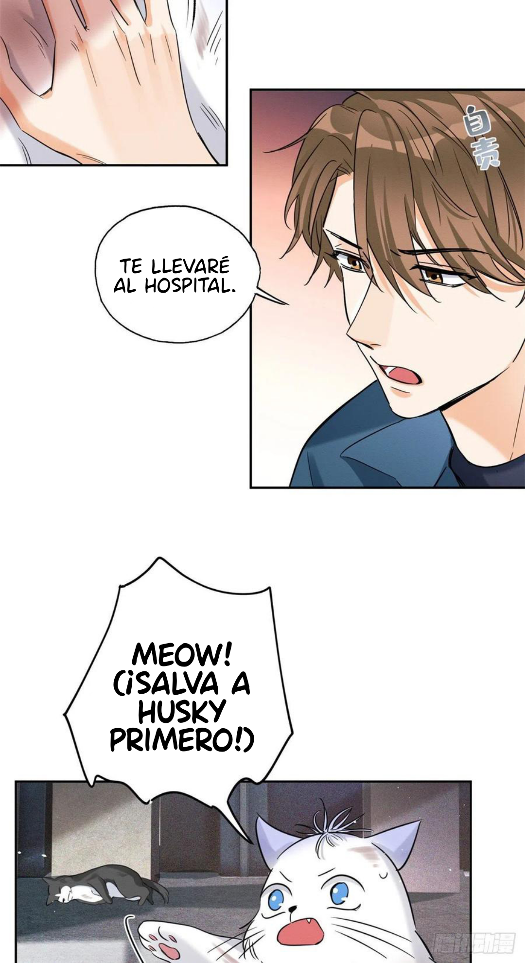 19 Tengo que trabajar duro para ser un gato hoy!