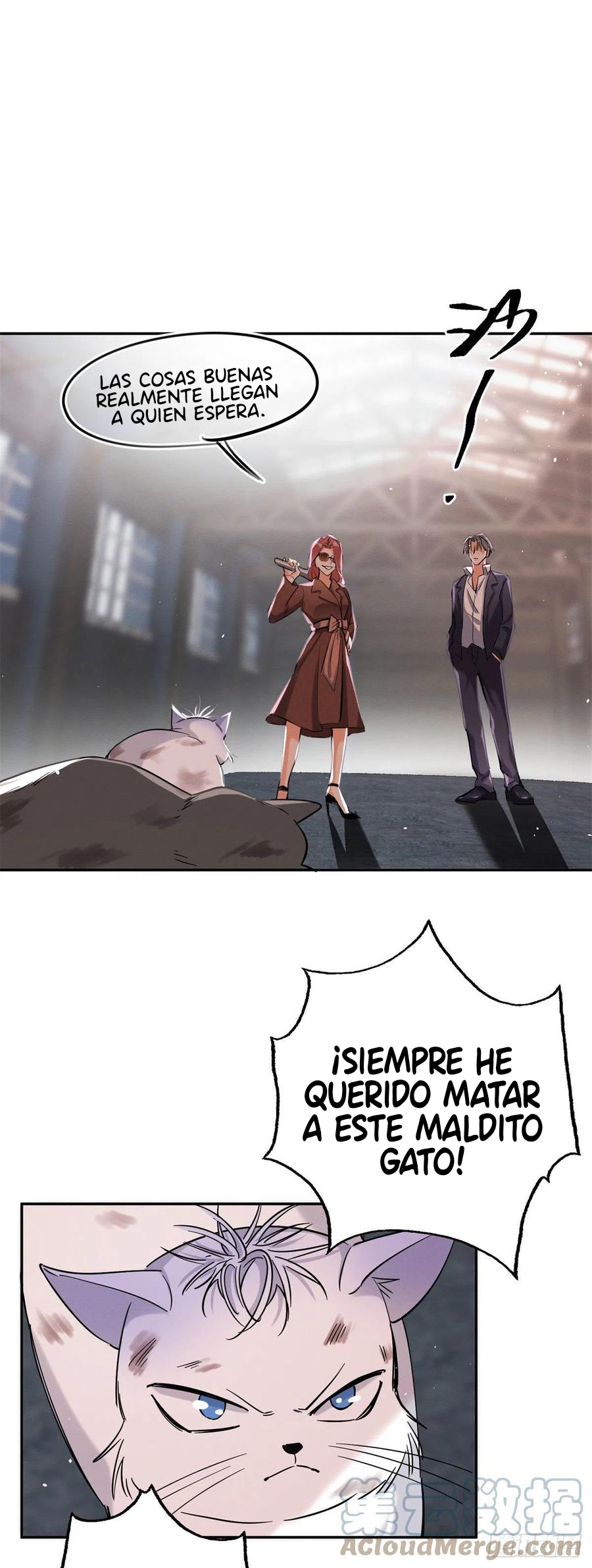 0 Tengo que trabajar duro para ser un gato hoy!