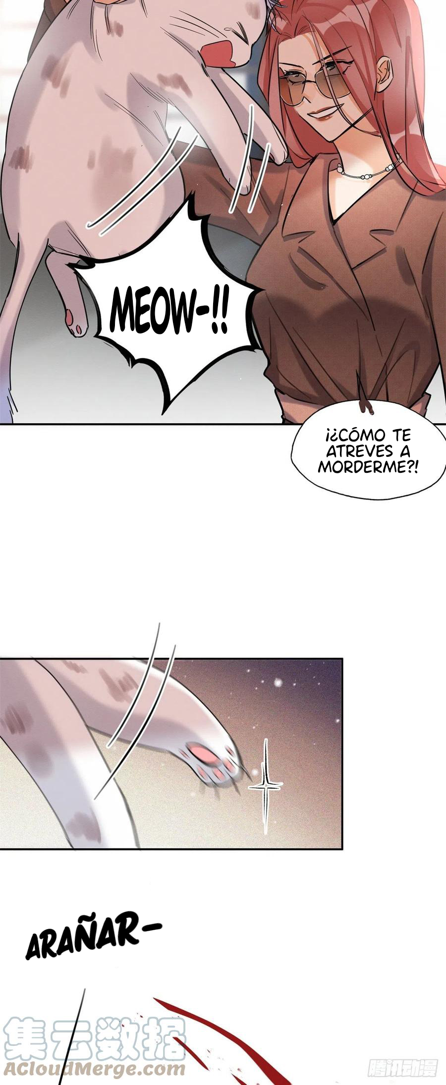 4 Tengo que trabajar duro para ser un gato hoy!