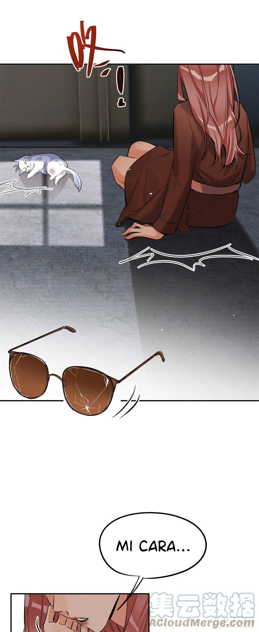 6 Tengo que trabajar duro para ser un gato hoy!