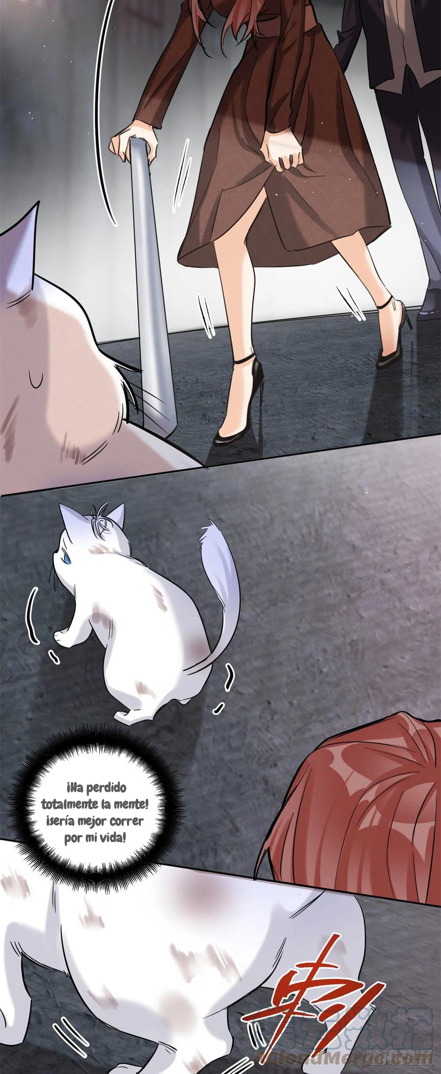 10 Tengo que trabajar duro para ser un gato hoy!