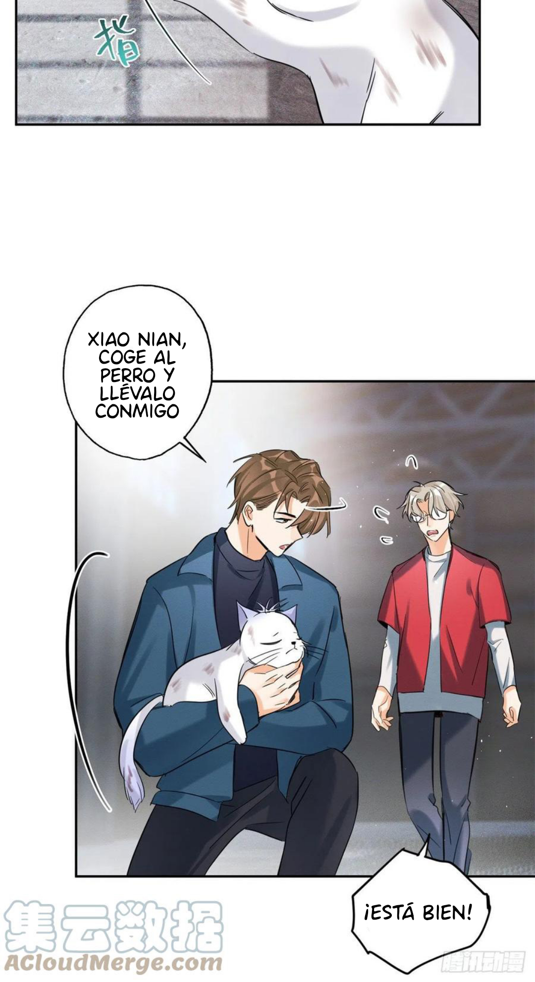 20 Tengo que trabajar duro para ser un gato hoy!