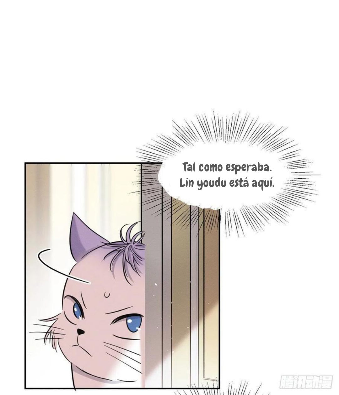 9 Tengo que trabajar duro para ser un gato hoy!