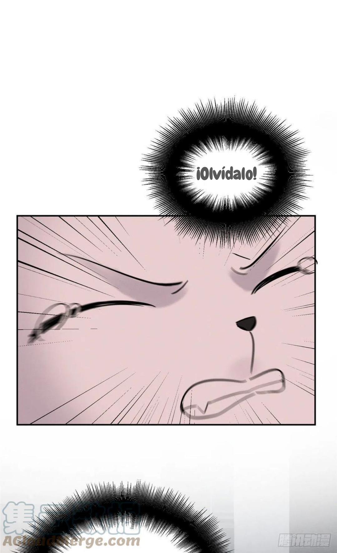 47 Tengo que trabajar duro para ser un gato hoy!