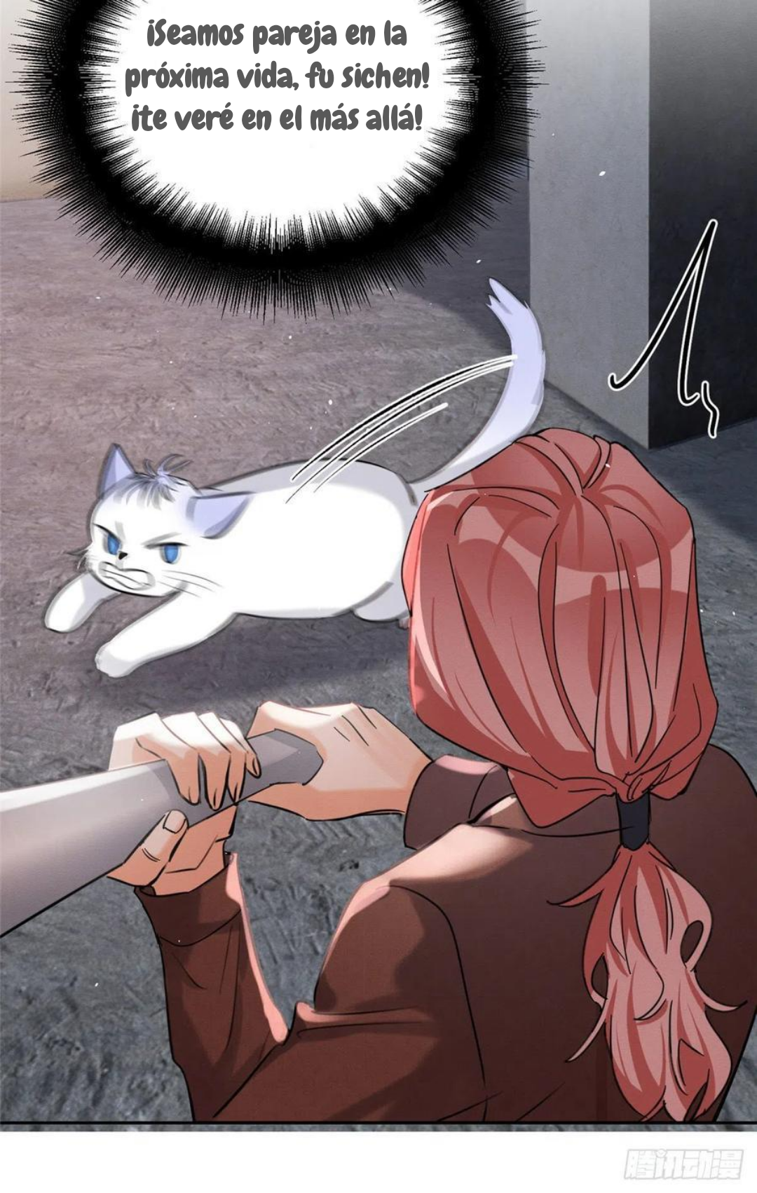 48 Tengo que trabajar duro para ser un gato hoy!