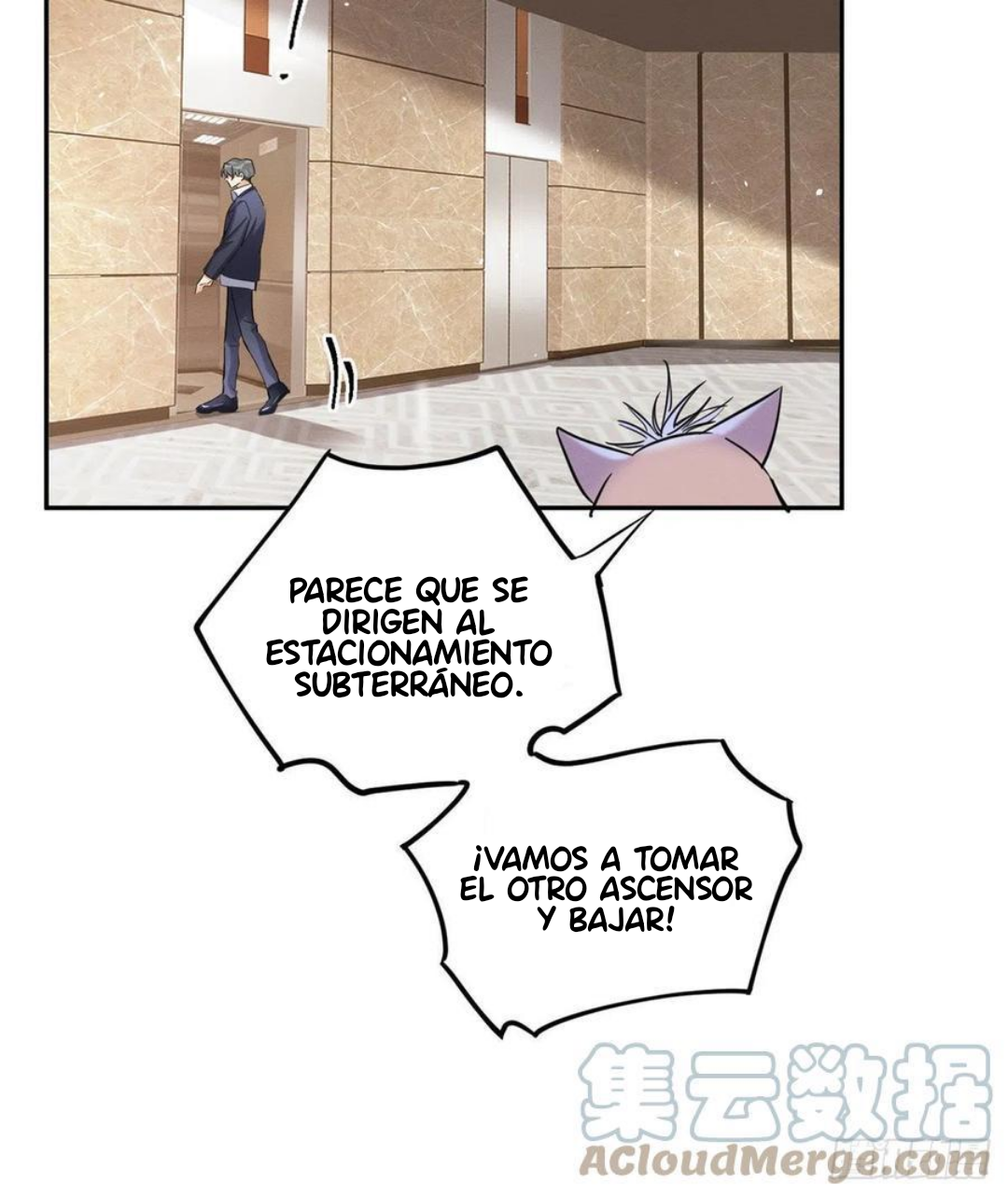 14 Tengo que trabajar duro para ser un gato hoy!