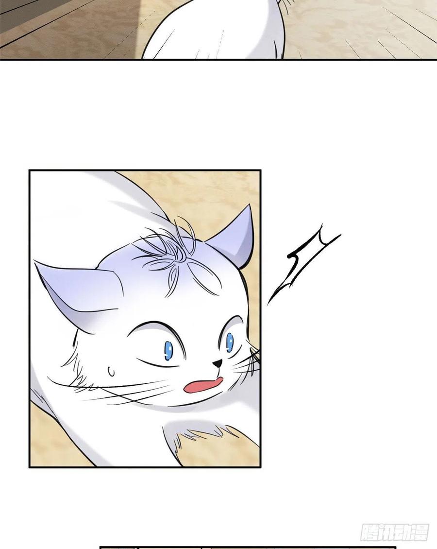 6 Tengo que trabajar duro para ser un gato hoy!