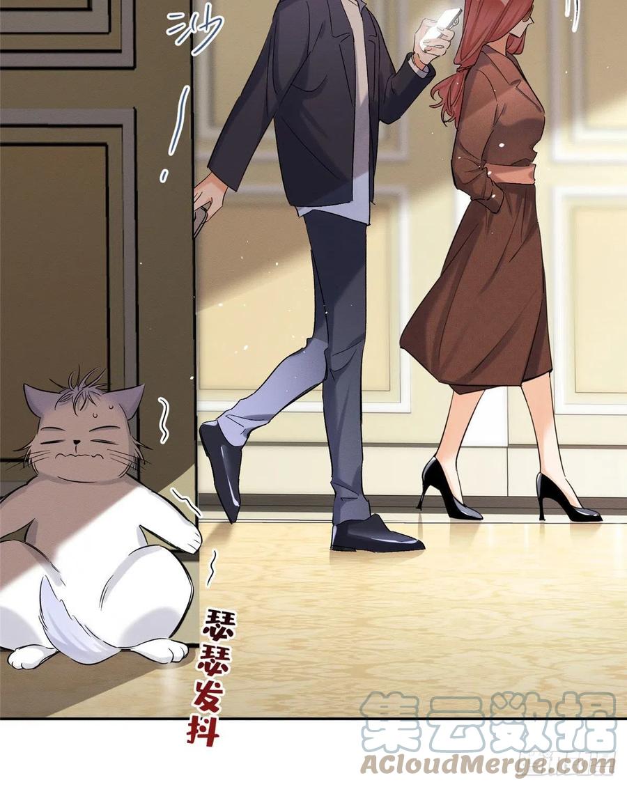 8 Tengo que trabajar duro para ser un gato hoy!