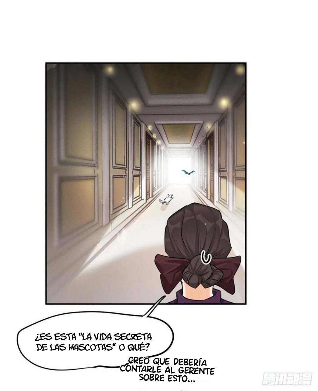 3 Tengo que trabajar duro para ser un gato hoy!