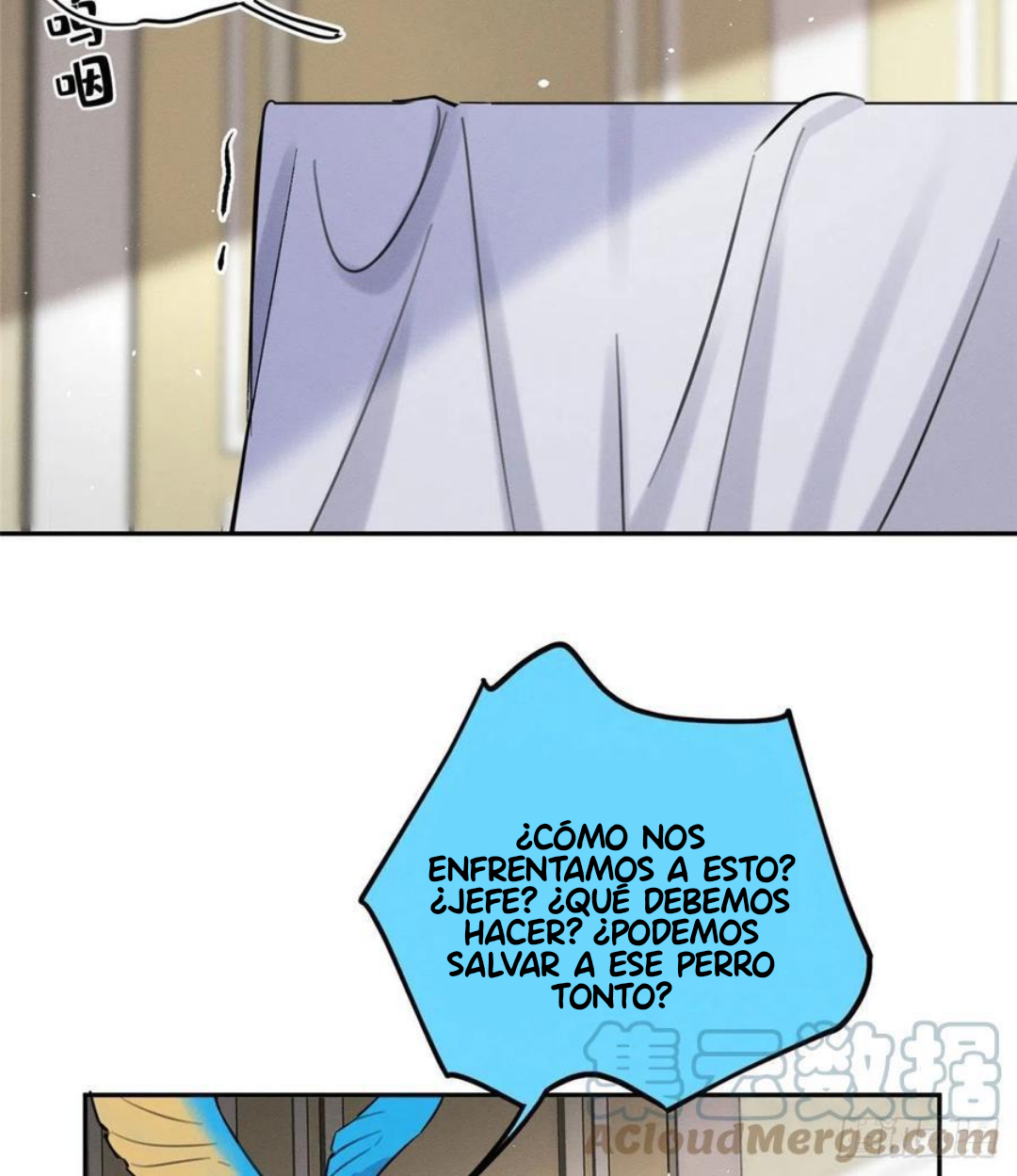 11 Tengo que trabajar duro para ser un gato hoy!